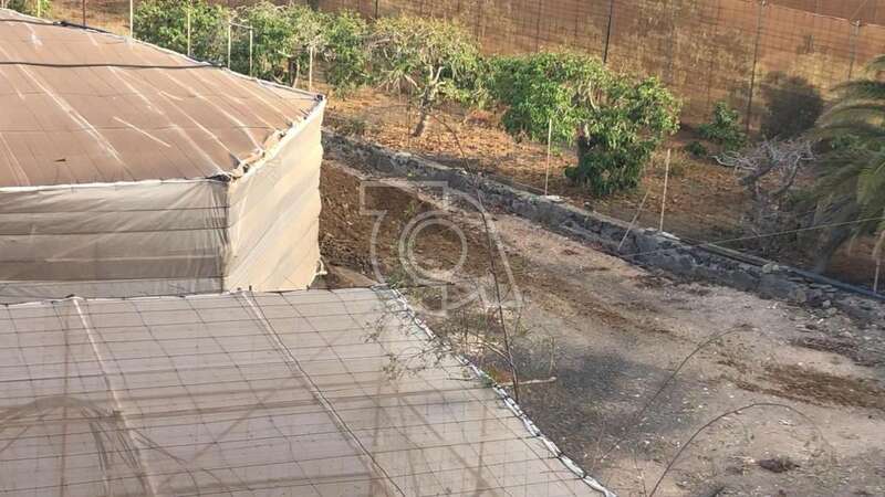 Estiércol utilizada en las fincas próximas a las viviendas de Salinetas y Clavellinas/TA.